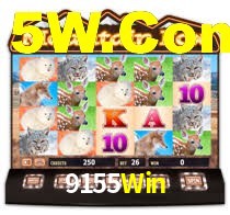 9155Win