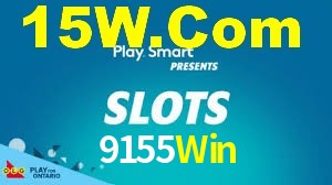 9155Win App Interface