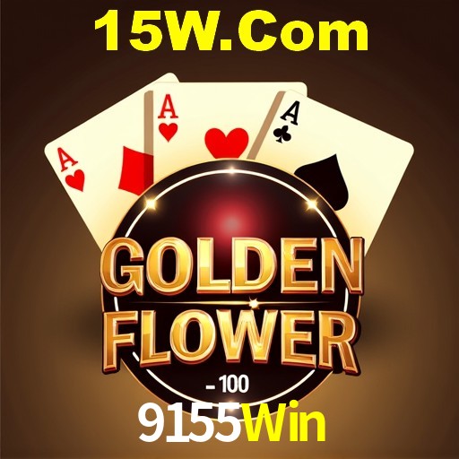 Interface do App 9155Win