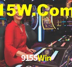 Premium Interface 9155Win